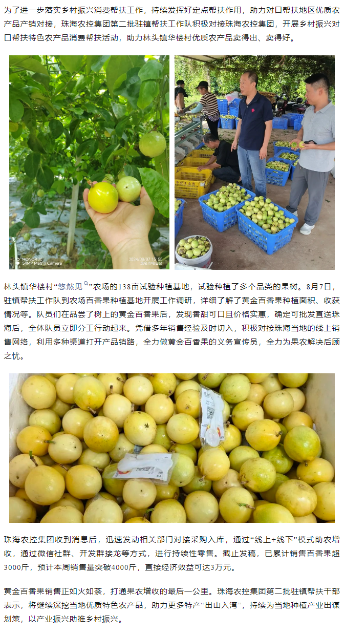 ky官方网站集团助力产销对接 对口帮扶果香飘百里.png